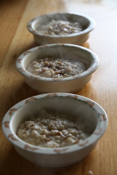 Porridge in the Thermomix